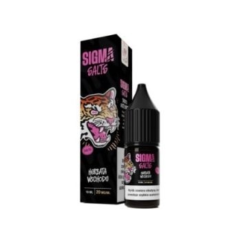 Liquid Sigma Salts 10ml 20mg Herbata Wschodu